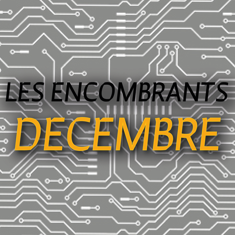 LES ENCOMBRANTS DE DÉCEMBRE