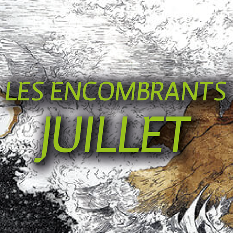 LES ENCOMBRANTS DE JUILLET