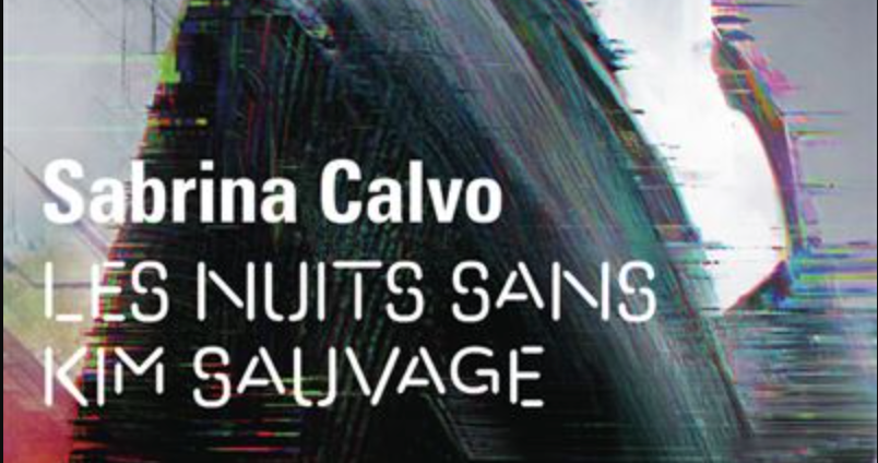 Les Nuits sans Kim Sauvage sort au format poche