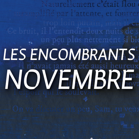 LES ENCOMBRANTS DE NOVEMBRE