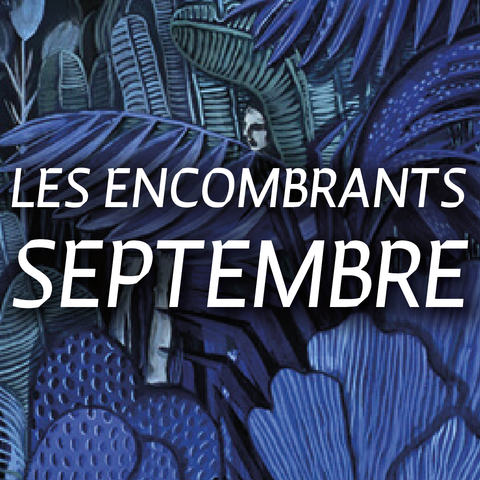 LES ENCOMBRANTS DE SEPTEMBRE