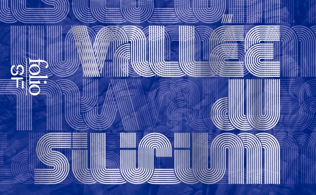 Vallée du silicium, de Alain Damasion, sort en poche