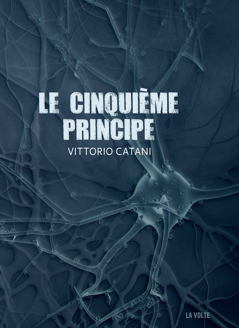 Le cinquième principe - Vittorio Catani
